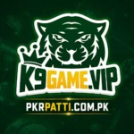 K9 Game