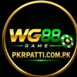 WG88 Game