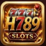 H789 Game