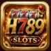 H789 Game